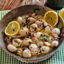Cargar imagen en el visor de la galería, Baby Almendrita / Elegant Cuttlefish