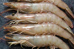 white prawns from spain