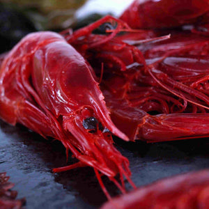 Carabineros (Scarlet Shrimp)